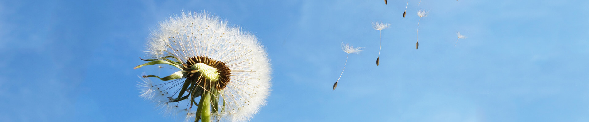 林州重機集團(tuán)股份有限公司