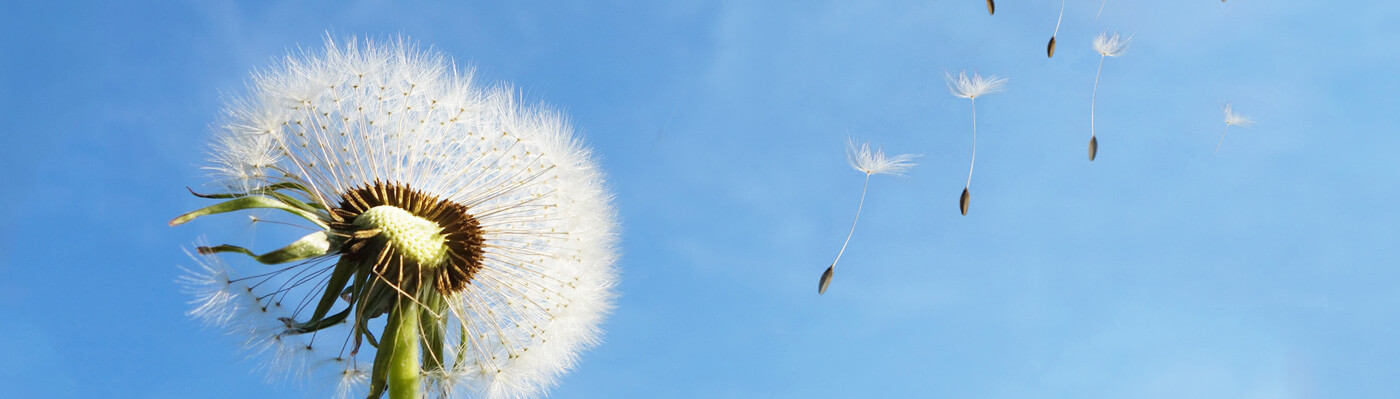 林州重機集團(tuán)股份有限公司